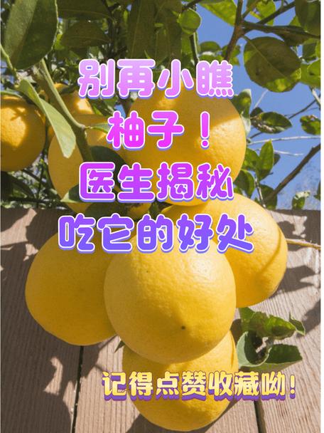 柚子直播是真的吗