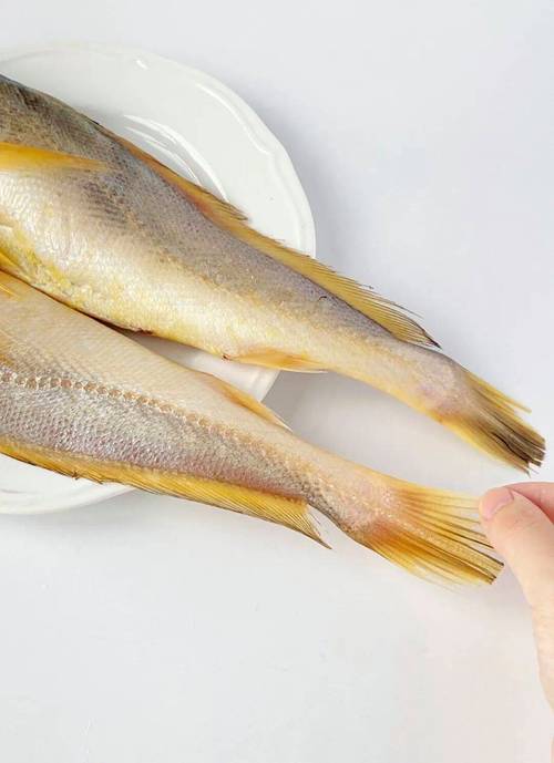 黄鱼免费视频在线观看