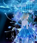 水母动漫最新版