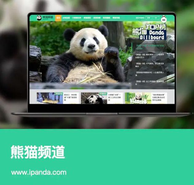 熊猫社区官网直接进入