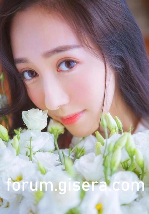 大菠萝福建导航网址引导