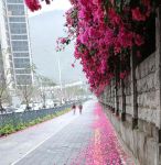 luohua07落花网手机版