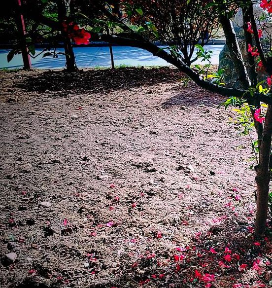 luohua07落花网手机版