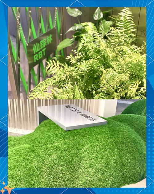 仙踪林最新地址欢迎你