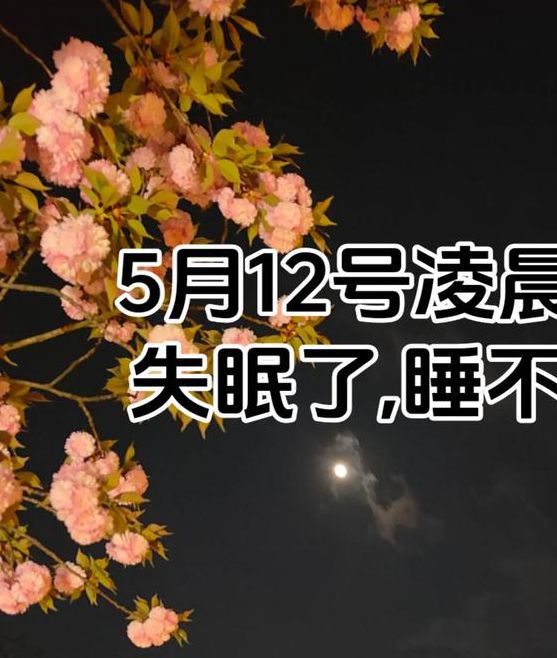 晚上睡不着想看点刺激的抖音