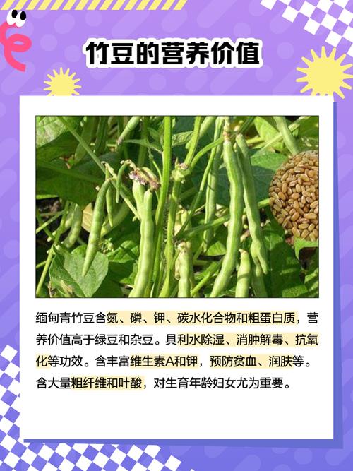 忘忧草仙踪林大豆行情