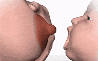 能看到整个奶头的视频