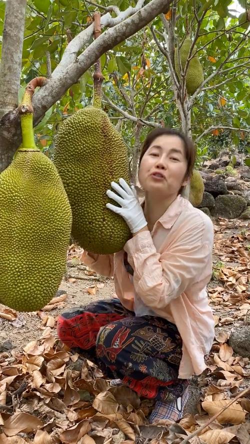 菠萝菠萝蜜视频在线播放www