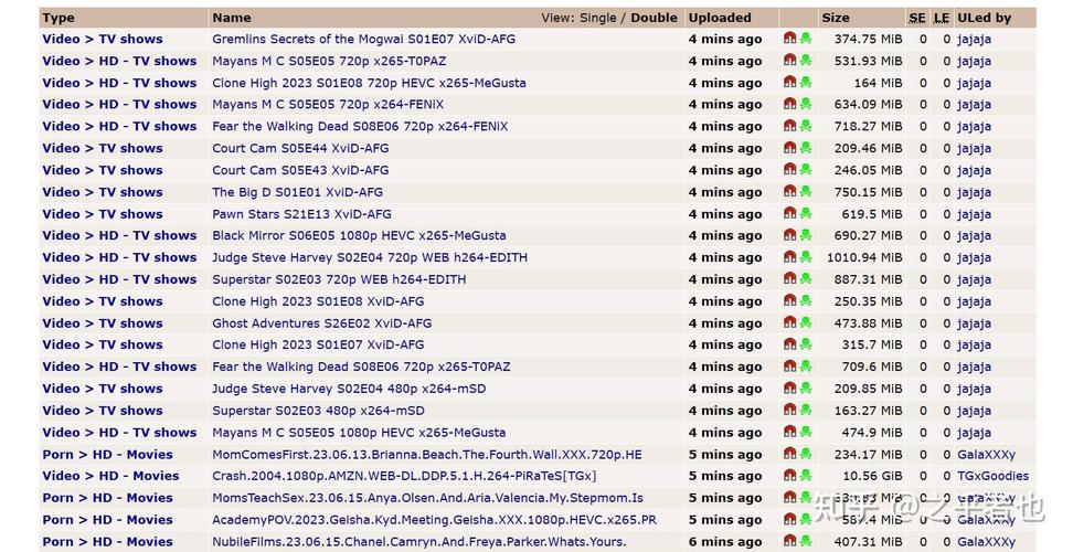 BT种子磁力天堂www在线