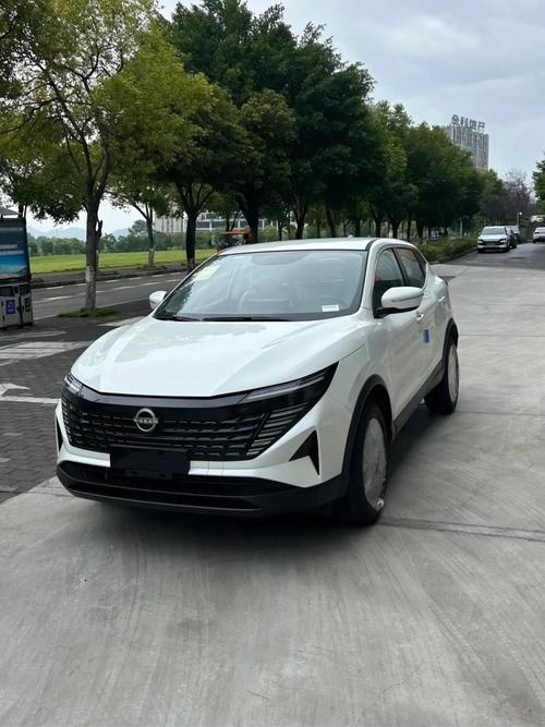 国产日产韩国精品视频高清版