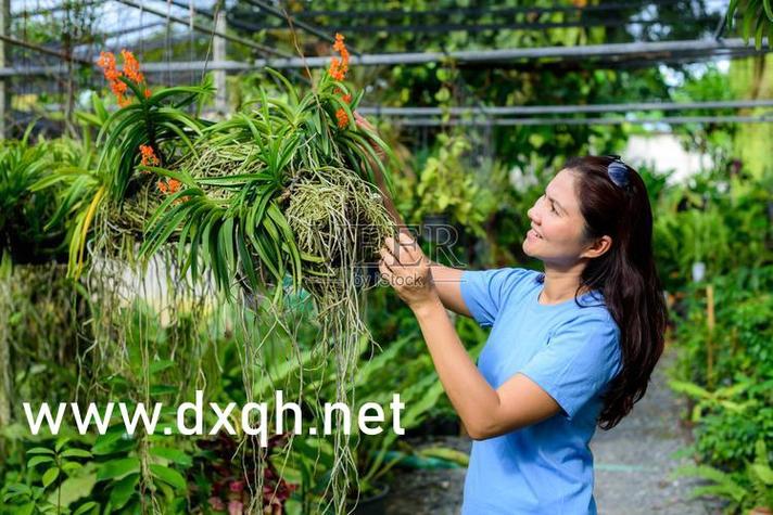 xzl仙踪林网站免费入口欢迎您