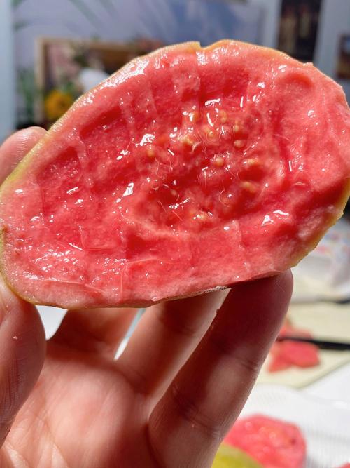 丝瓜草莓芭乐鸭脖污污污