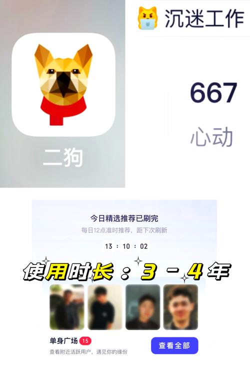 像像相亲真人平台