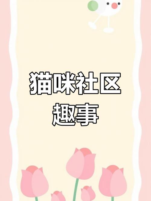 猫咪社区www高清视频在线观看免费最新版下载