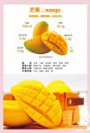 芒果乱码一二三四区别
