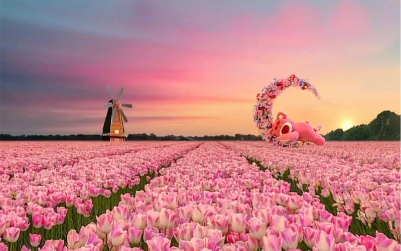 粉色视频免费看三分钟