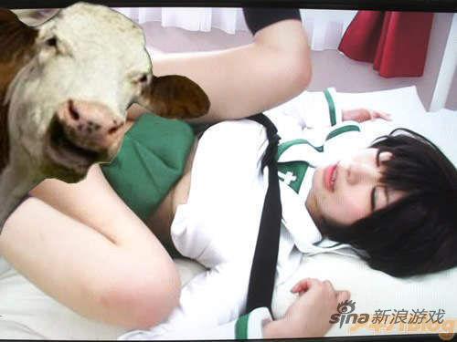 24小时在线更新高清免费A片