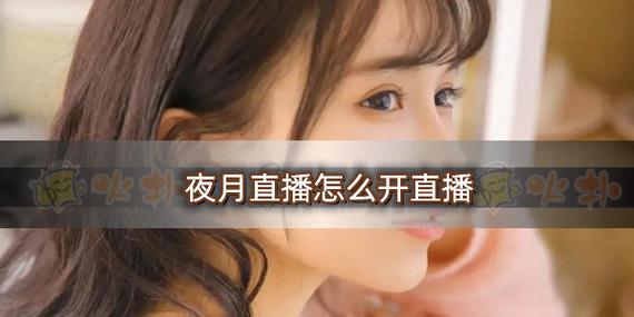 夜月直播在线观看
