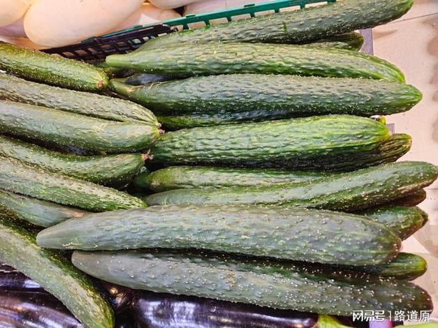 鸭脖娱乐草莓视频丝瓜视频黄瓜视频