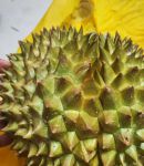 草莓榴莲深夜释放自己2021