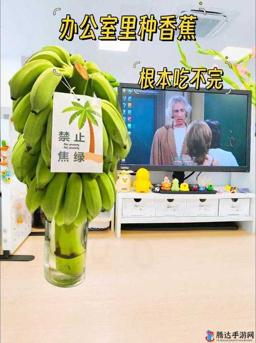 香蕉黄瓜秋葵绿巨人ios