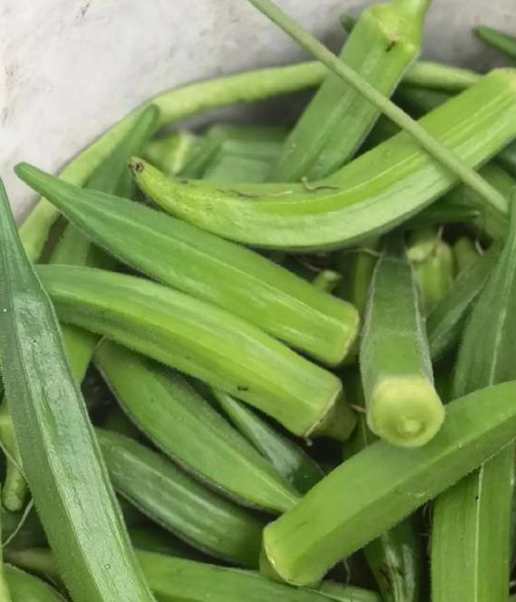 绿巨人干层浪樱桃秋葵黄瓜污解锁最新