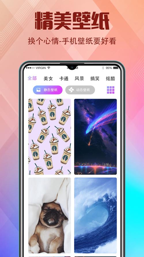 香蕉网络在线观看视频