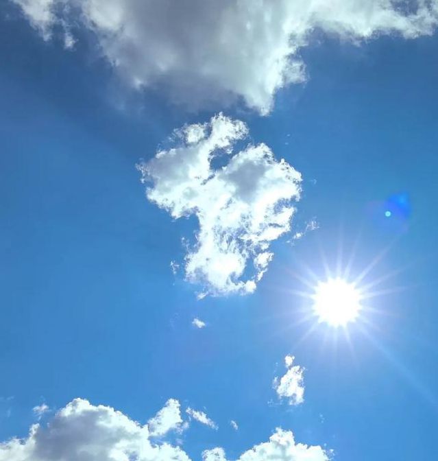 太阳视频黄官网下载