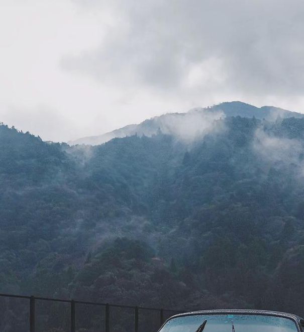 保时捷508tv直播