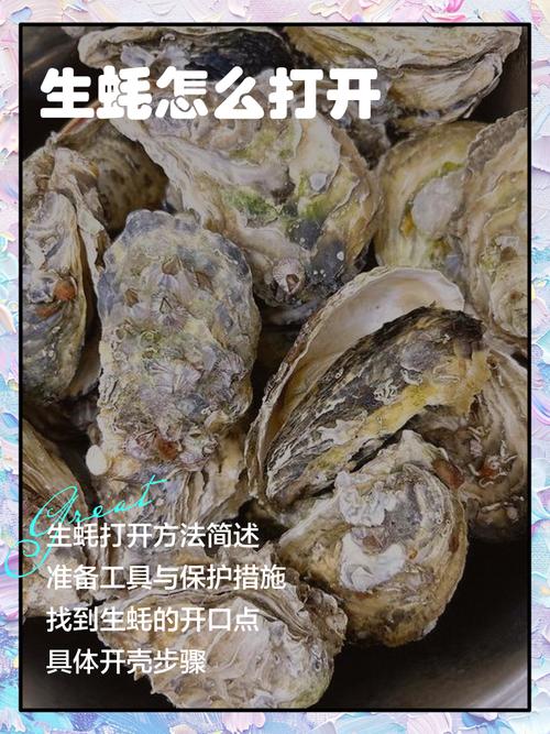 生蚝视频普通下载