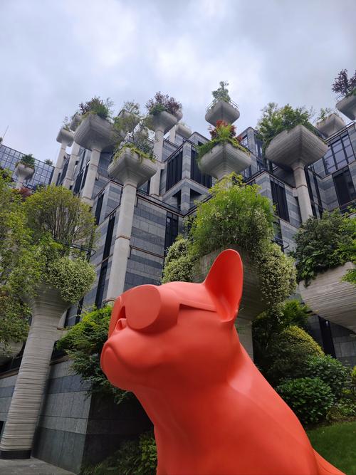 千树直播新平台