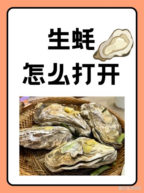 生蚝视频app下载安卓版