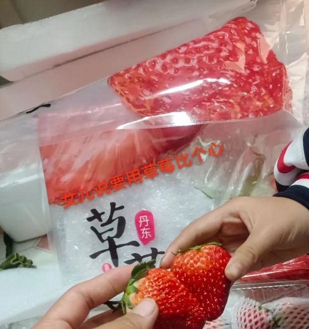 草莓带你内外一个世界