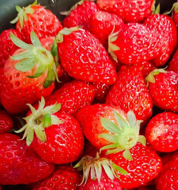 草莓带你内外一个世界