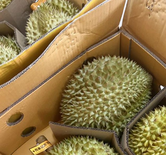 榴莲.combo3.0深夜释放自己下载