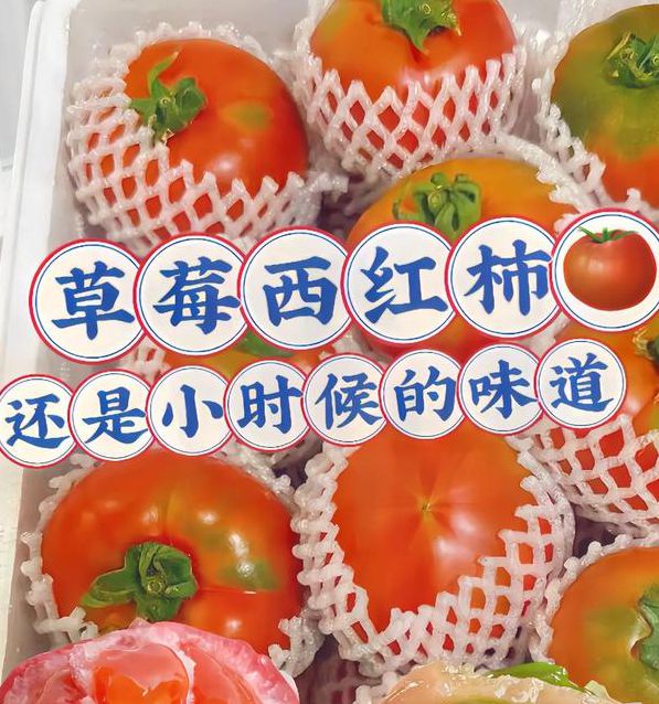 草莓秋葵榴莲西红柿下载