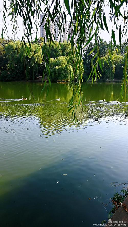 秋水一色花季传媒