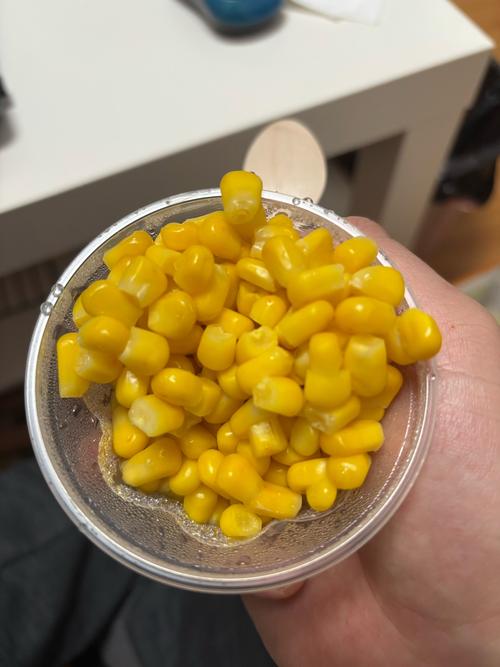 玉米视频成人免费看