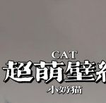 小奶猫apk官方下载地址