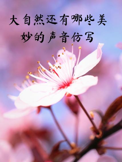 你抽的越快我声音越大