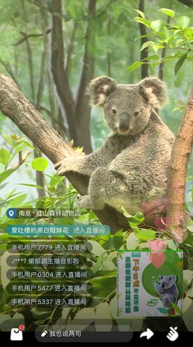 考拉直播最新版本下载