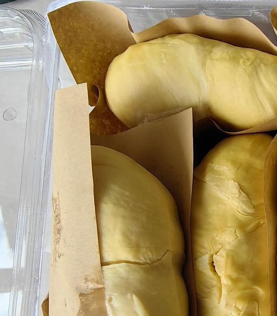 榴莲视频幸福宝