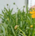 野花视频最新免费高清完整版