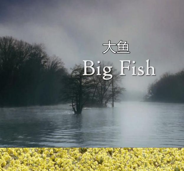 大鱼影视官网地址2.4