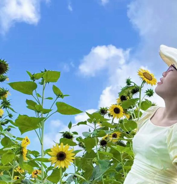 向日葵富二代鸭脖无限观看