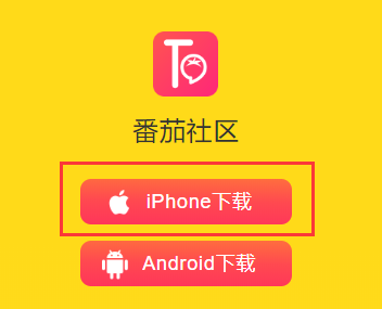 番茄视频app