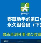 野草2023新地扯一二最新版