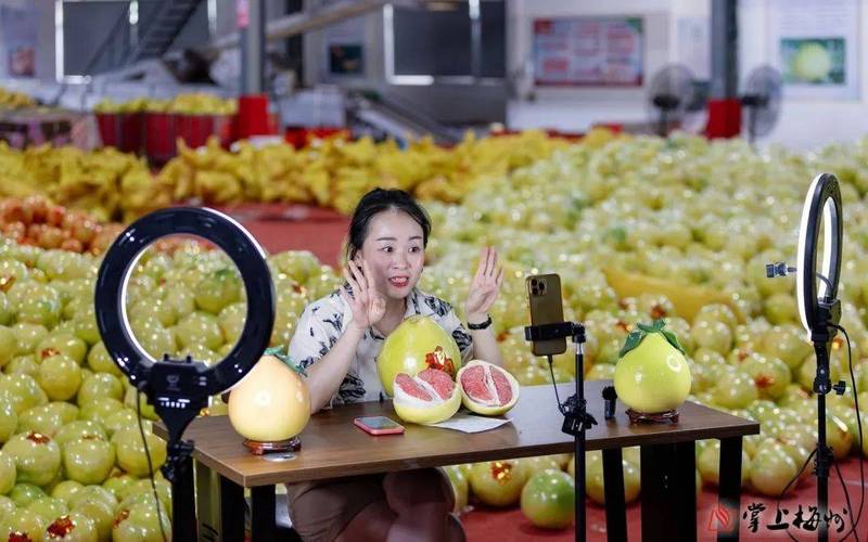 779.t&or;柚子直播1.0.1