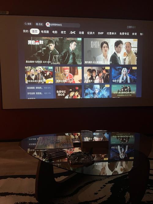 午夜私人电影院在线观看