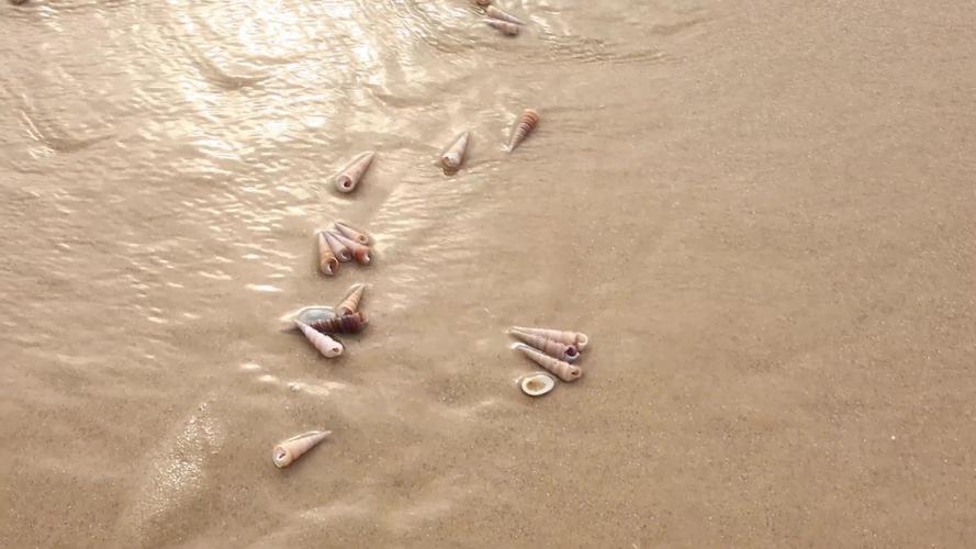 贝壳视频免费资源